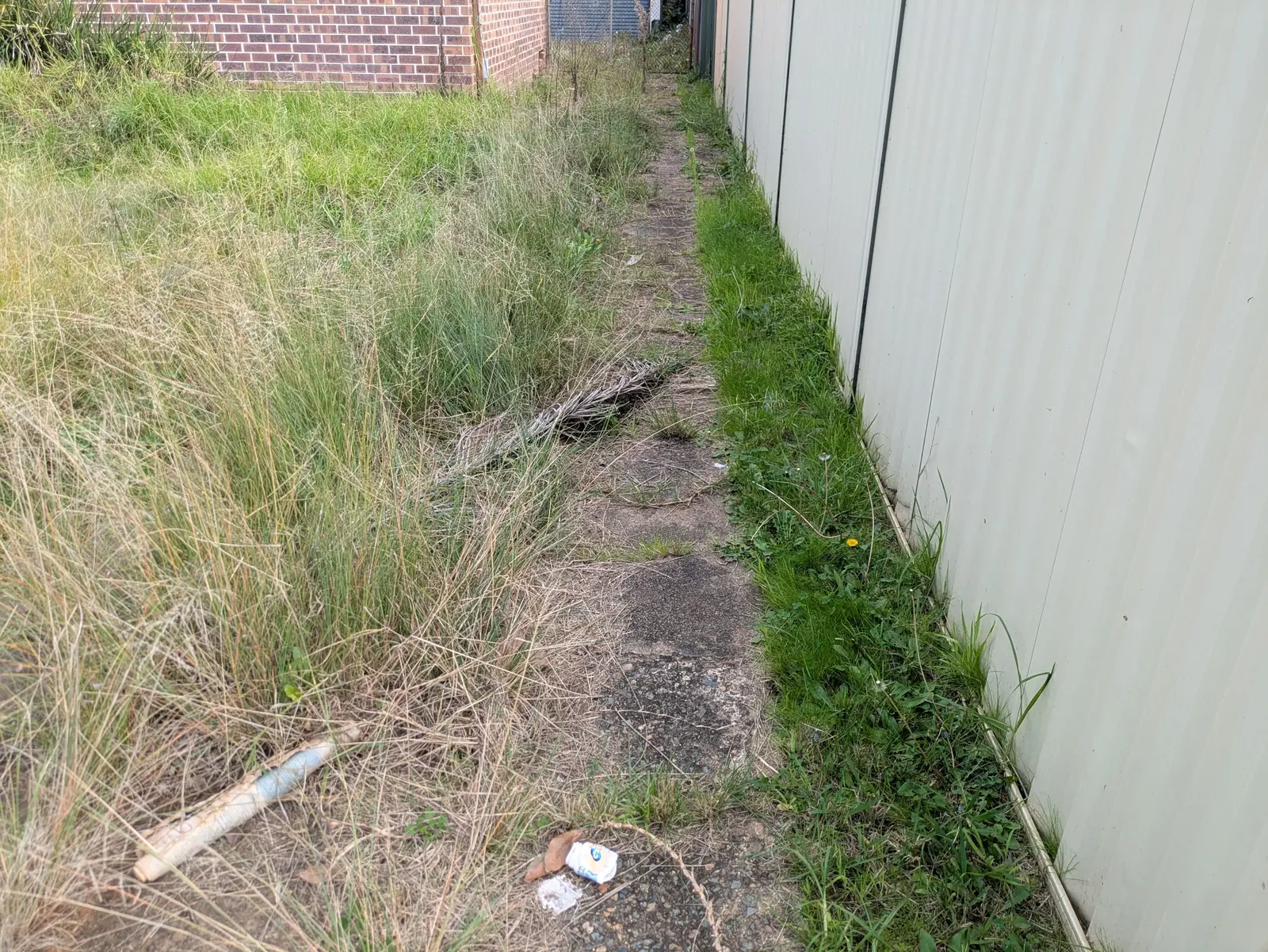 Overgrown driveway before