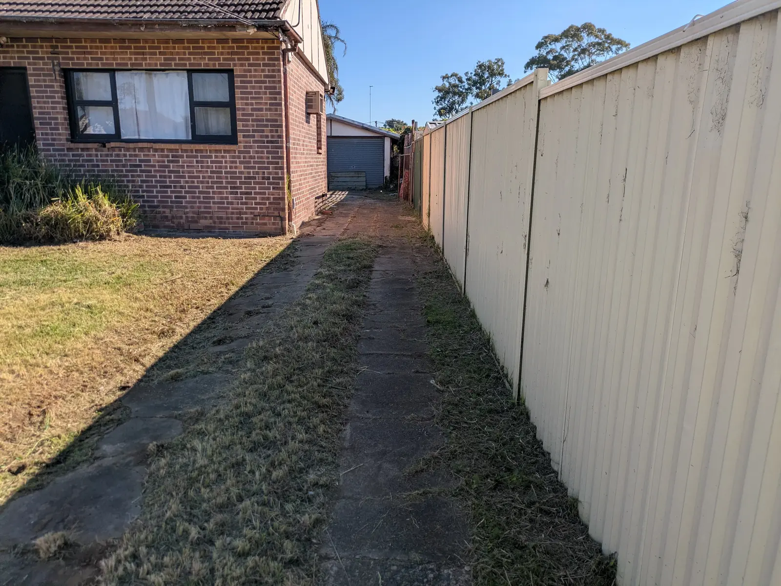 Driveway after trimming