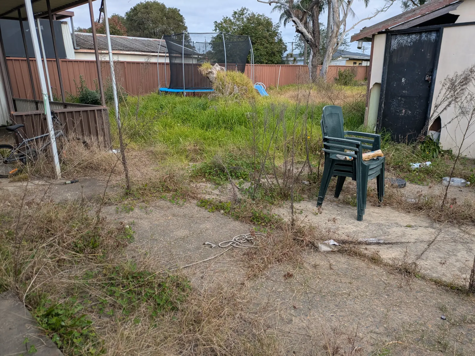 Overgrown front of garage and trampoline area before