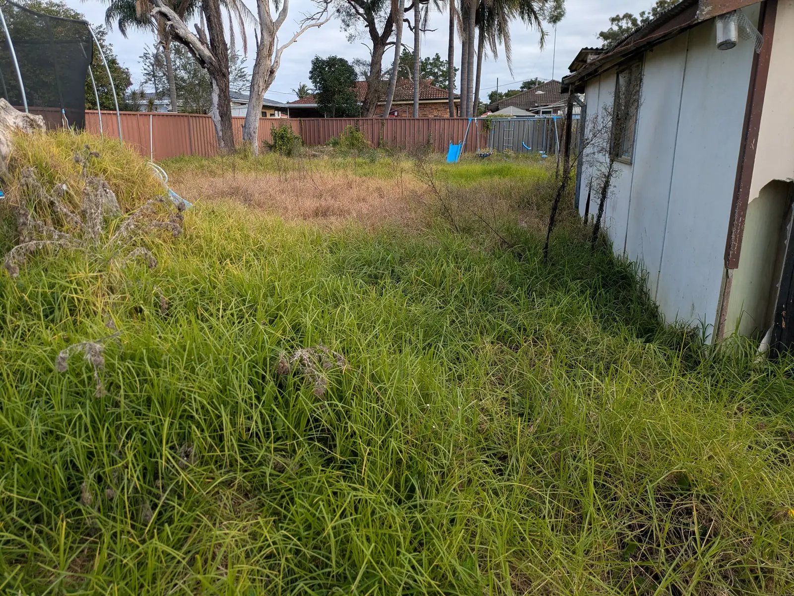 From jungle to tidy yard — a big clean-up in Western Sydney