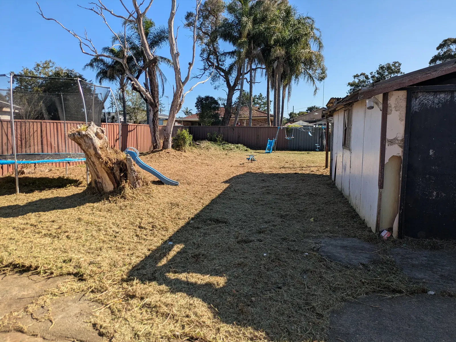 Side of garage and main backyard after clean-up