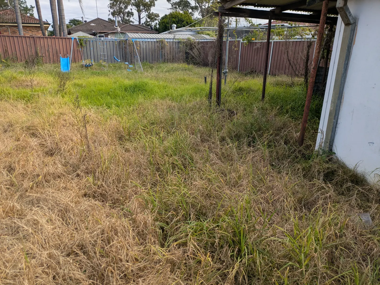 Overgrown back corner before