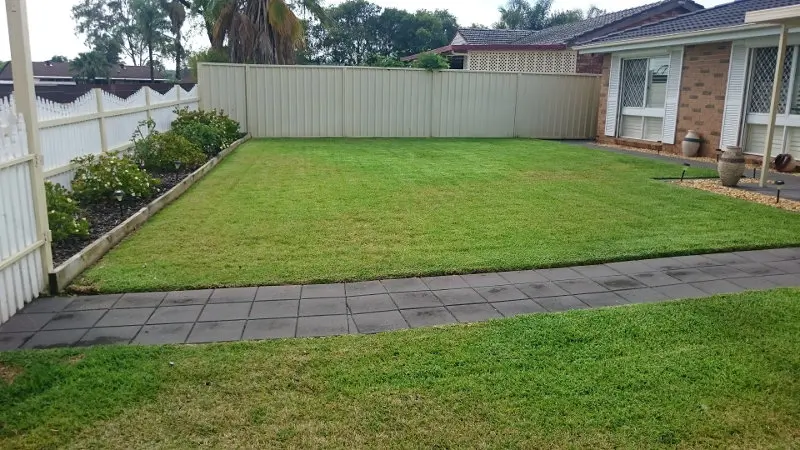 Lawn before fertilising