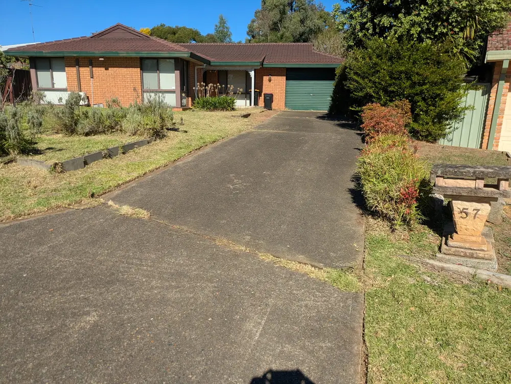Same backyard after mowing and edging