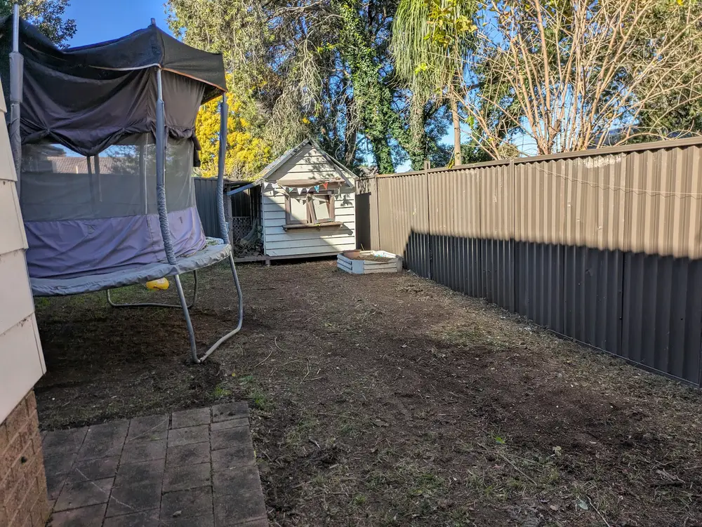 Neatly mowed lawn after service