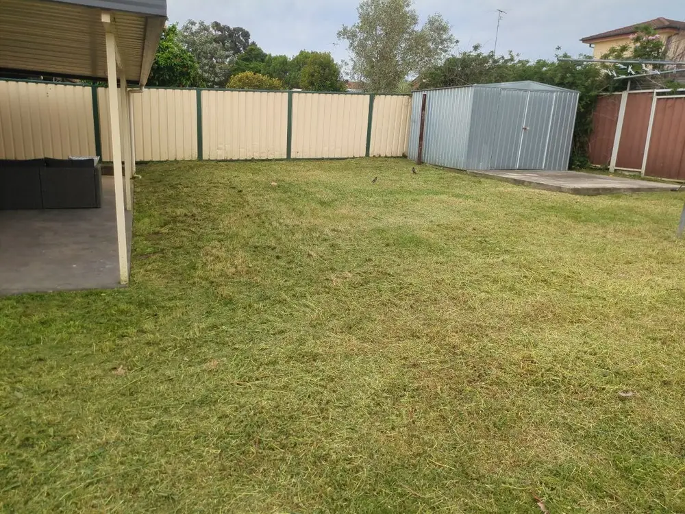 Tidy lawn after clean-up