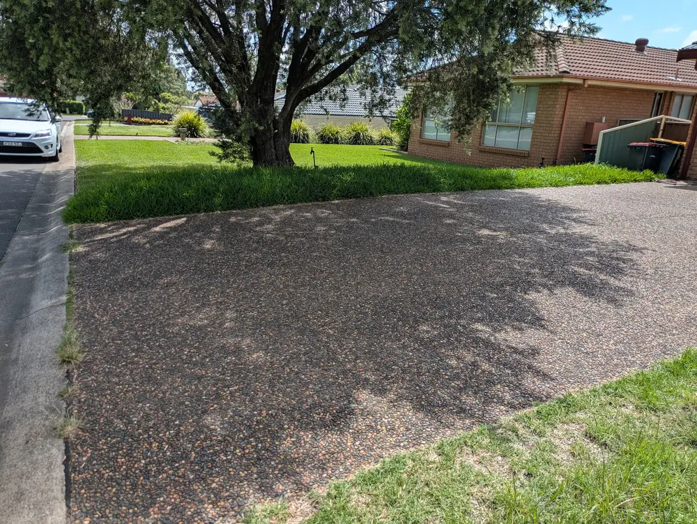 Overgrown front yard and nature strip before
