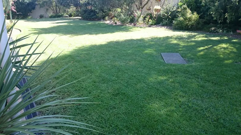 Freshly mowed lawn in Western Sydney