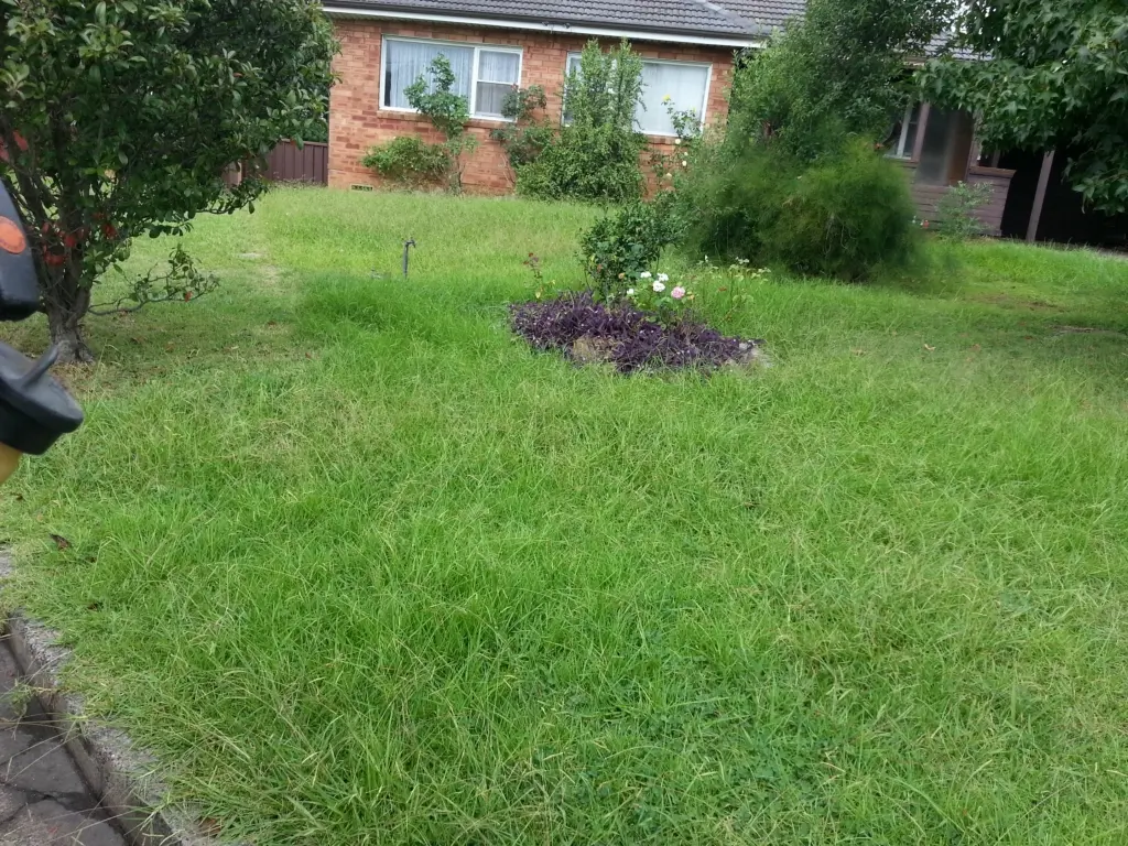 Lawn mowing job — Western Sydney