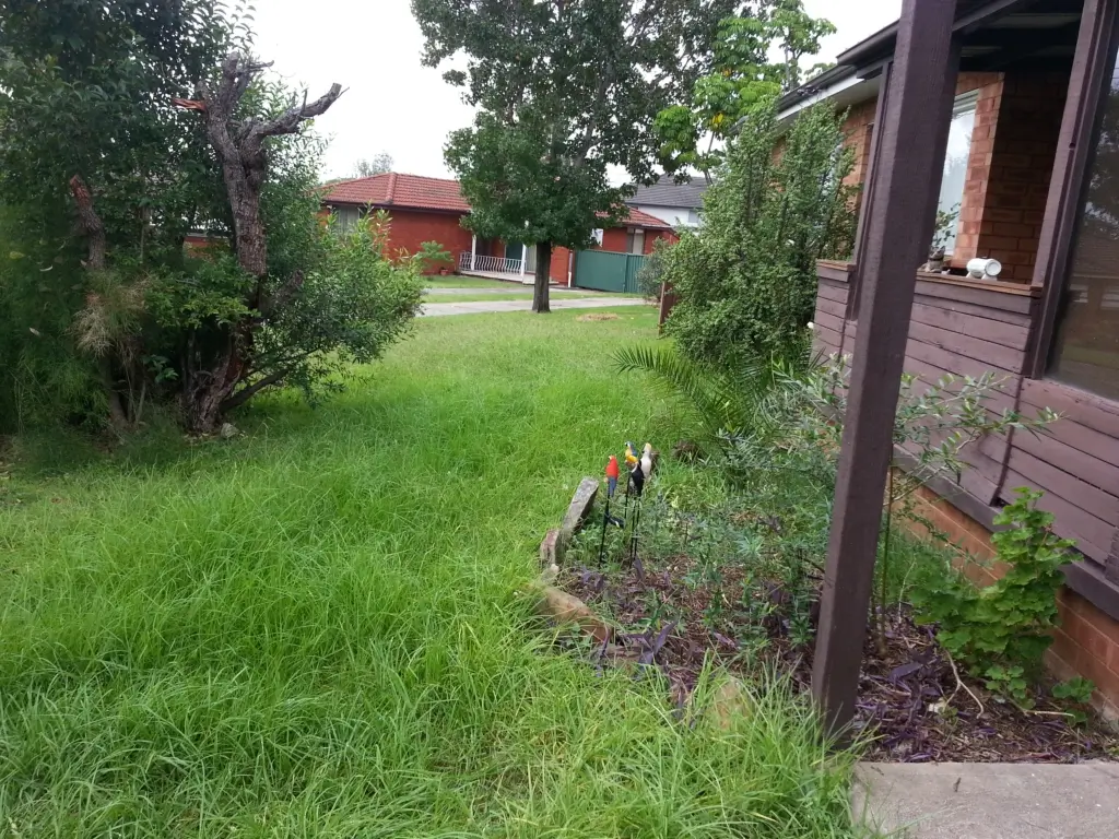 Mowed lawn with edges