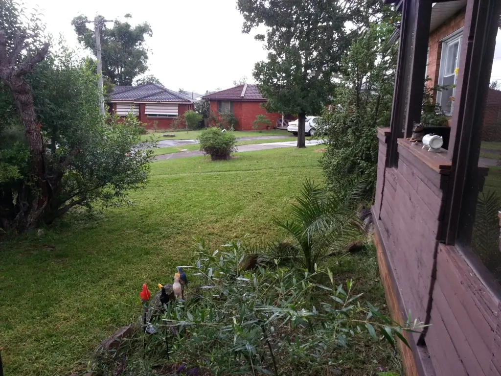 Plan ahead for Christmas lawn mowing