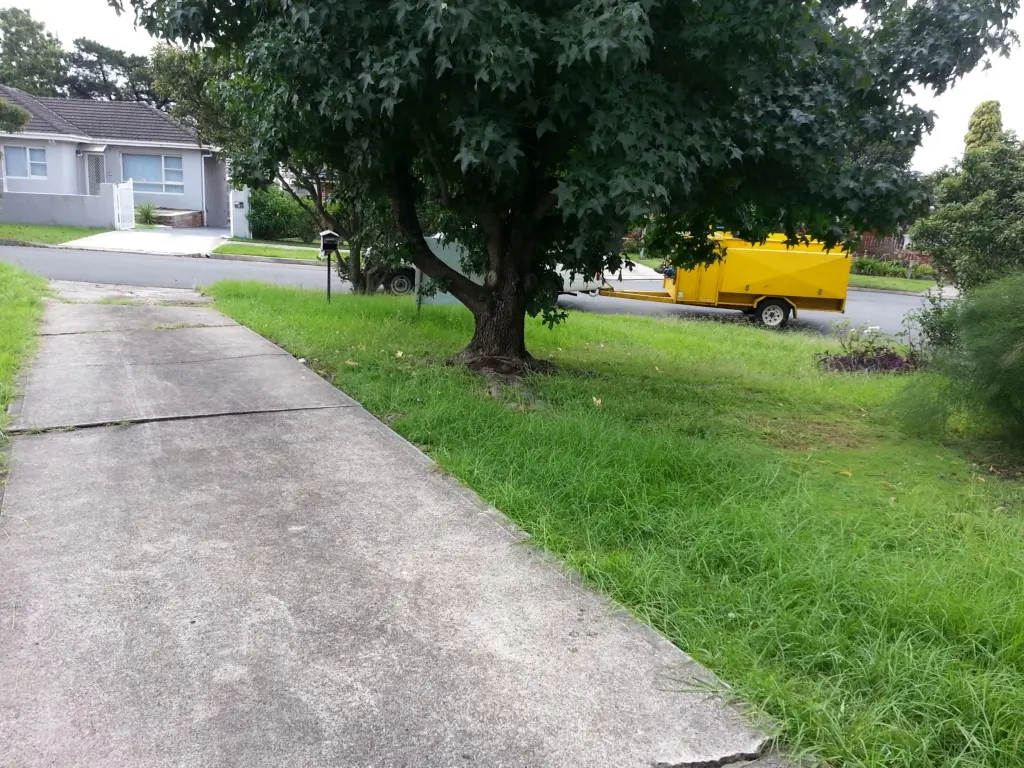 Plan ahead for Christmas lawn mowing 2020