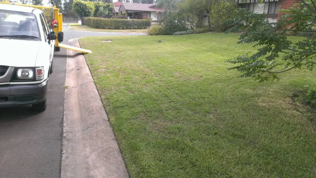 Getting your lawns ready for spring