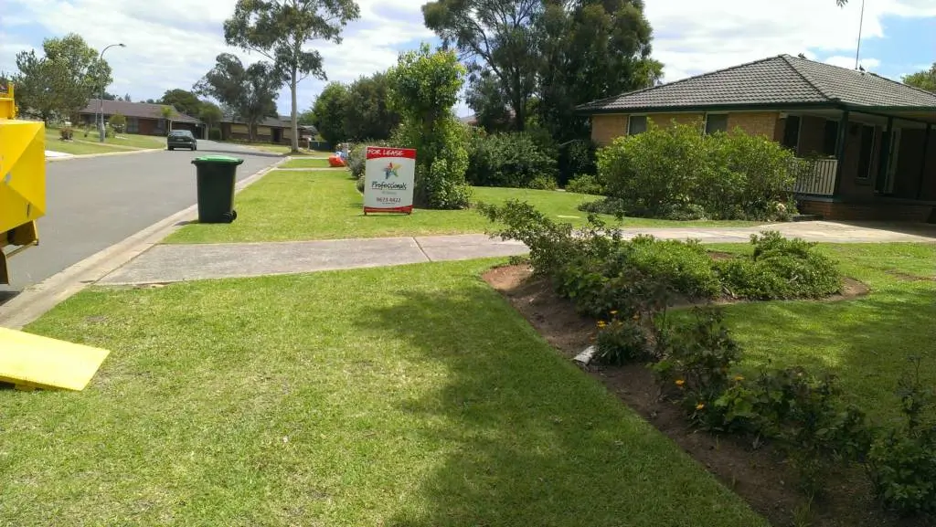 Lawn mowed in spring