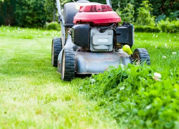 Spring Lawn Care