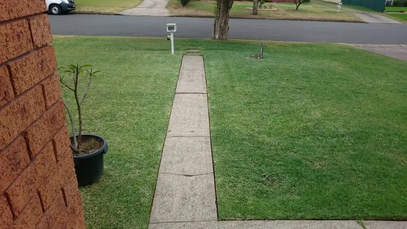 Lawn mowed and fertilised, looking great