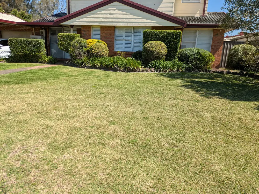 Mid-autumn — don't pack the mower away just yet