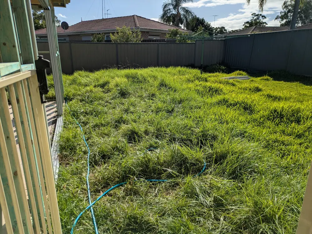 Autumn and winter — the season for a proper yard clean-up
