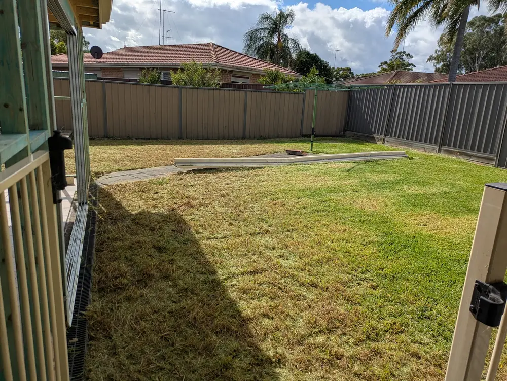 Completed yard clean-up