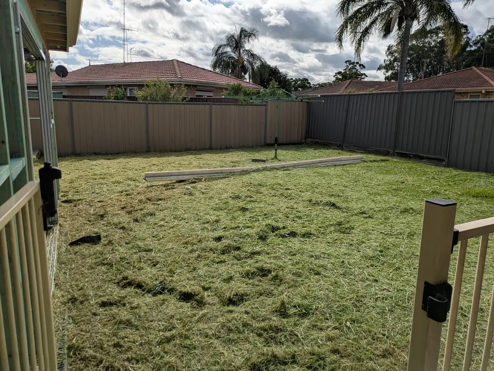 First pass mowing an overgrown lawn