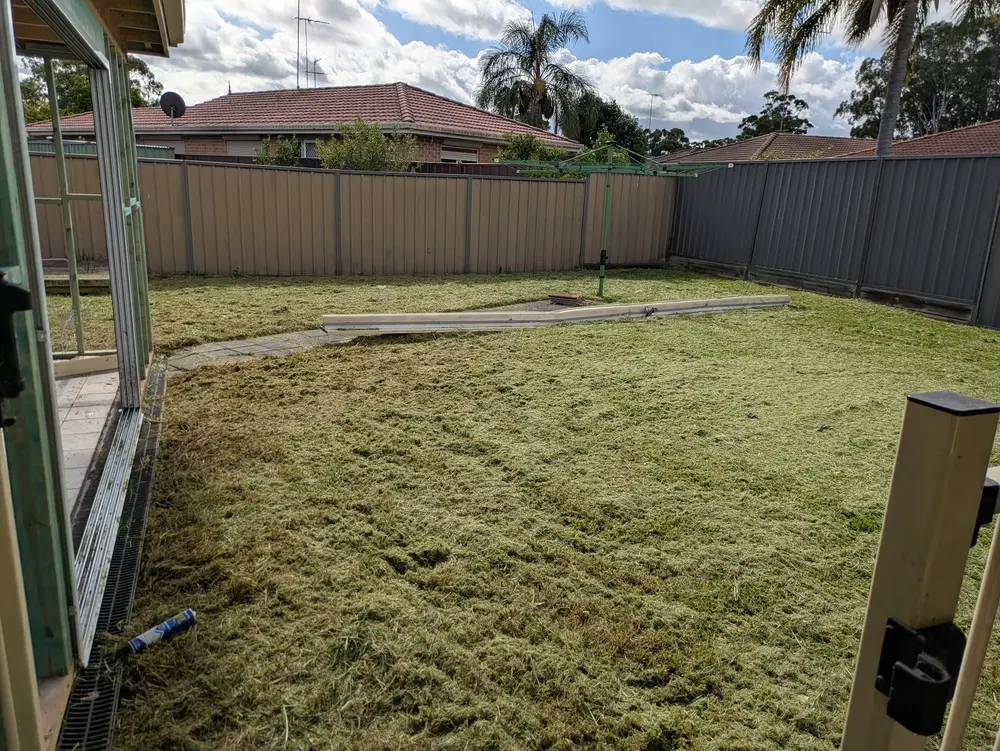 Second pass, lawn starting to look tidy